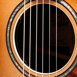 Claria Pickup System Taylor Guitars