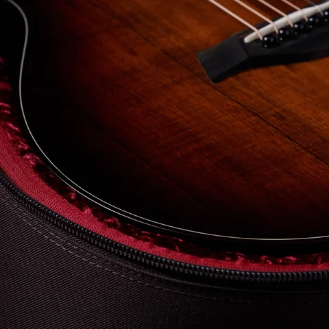 GS Mini-e Koa Plus