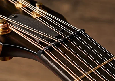 taylor-features-specialty