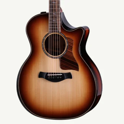 Builder's Edition 814ce Adirondack Spruce